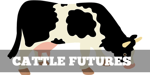 Cattle Futures
