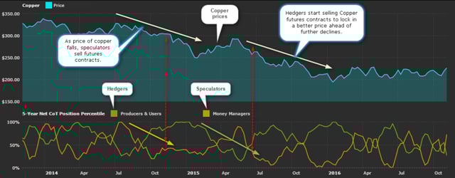Hedgers and Speculative Positions