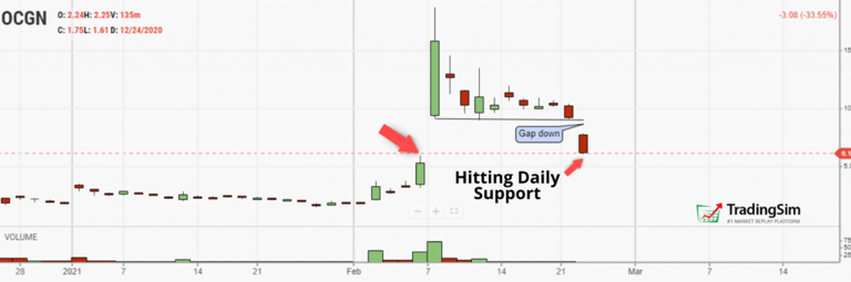 OCGN daily support