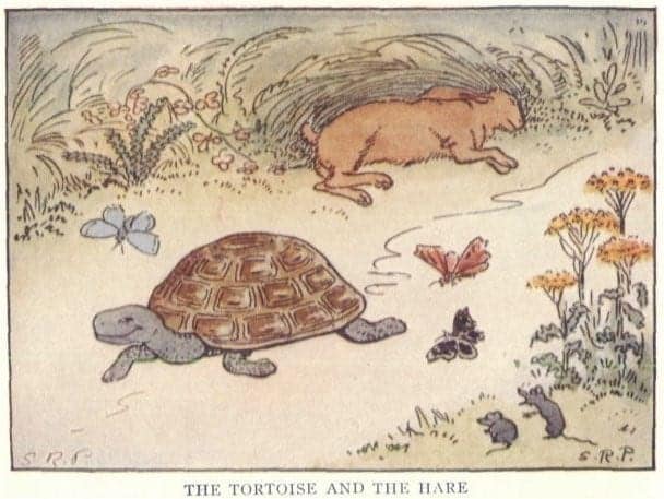 The Tortoise and The Hare