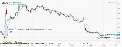 SGOC Gap Fill