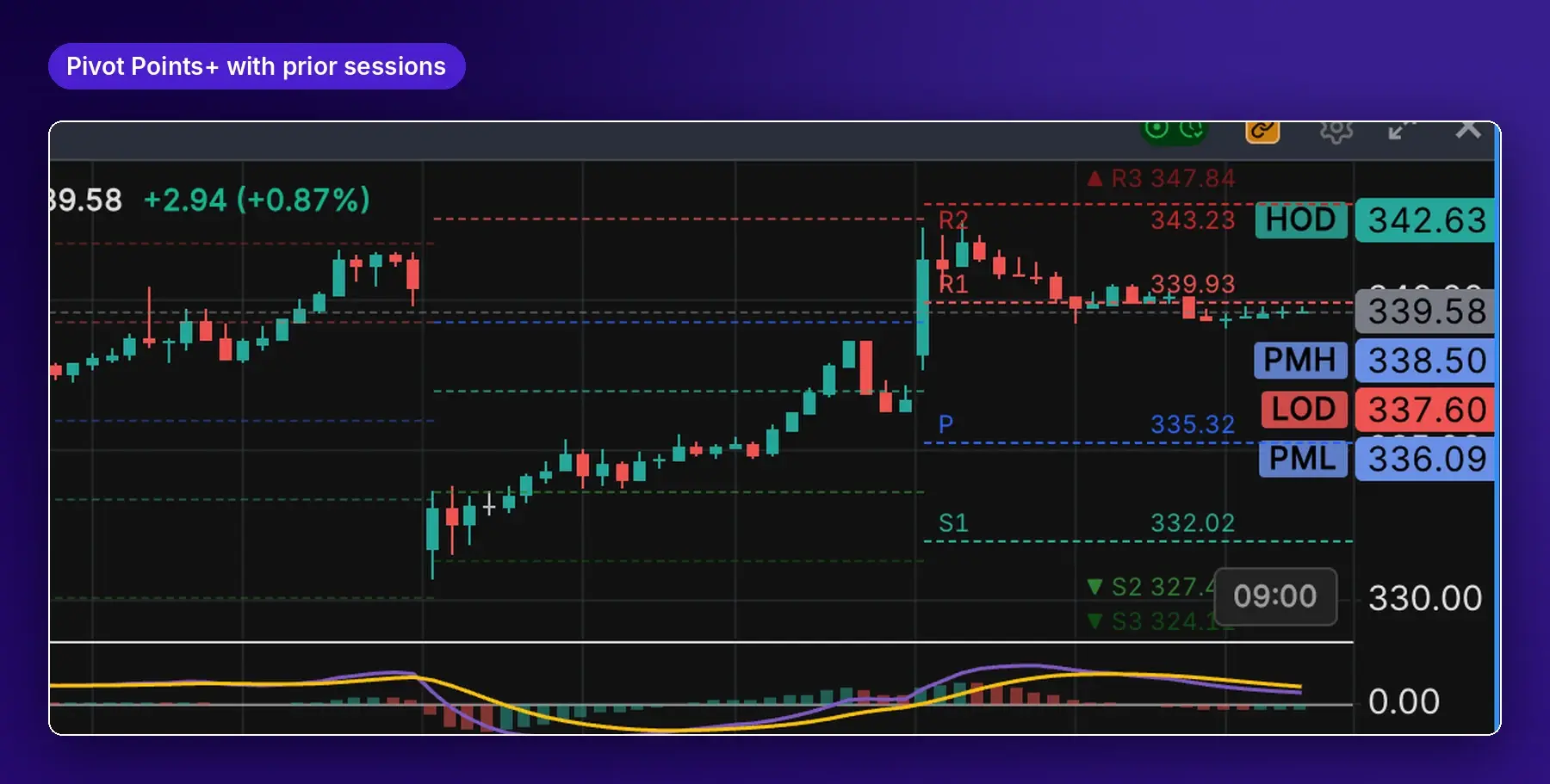 Daily Pivot Points+ with labeled levels